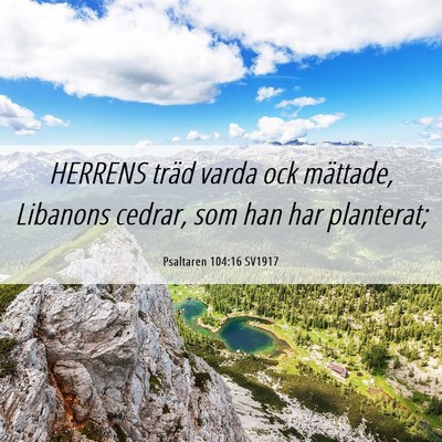 Picture 06 - Psaltaren 104:16 SV1917 - HERRENS träd varda ock mättade, Libanons - Bible Verse Picture