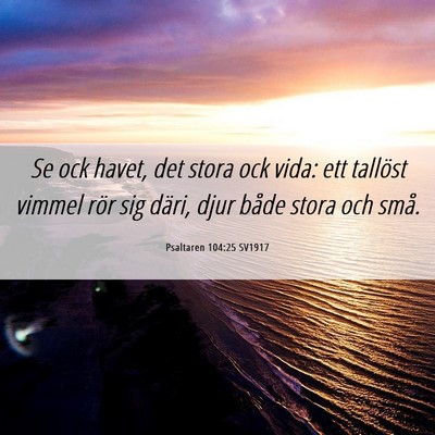 Picture 06 - Psaltaren 104:25 SV1917 - Se ock havet, det stora ock vida: ett tallöst - Bible Verse Picture