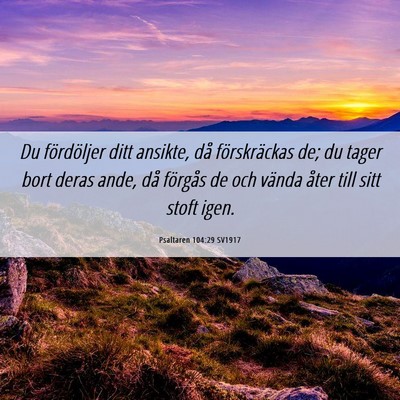 Picture 06 - Psaltaren 104:29 SV1917 - Du fördöljer ditt ansikte, då förskräckas - Bible Verse Picture