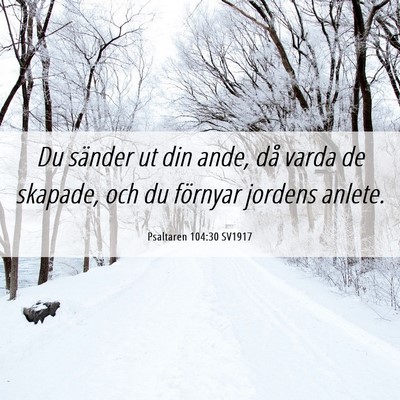 Picture 06 - Psaltaren 104:30 SV1917 - Du sänder ut din ande, då varda de skapade, och - Bible Verse Picture