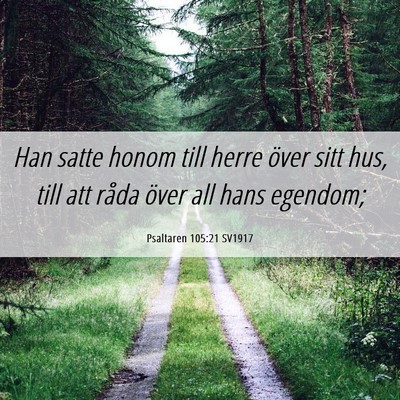 Picture 06 - Psaltaren 105:21 SV1917 - Han satte honom till herre över sitt hus, till - Bible Verse Picture
