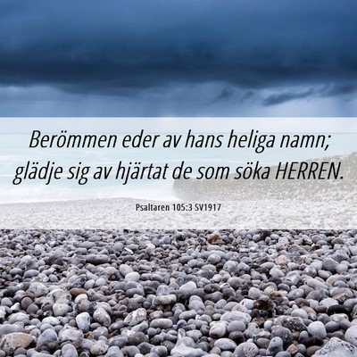 Picture 06 - Psaltaren 105:3 SV1917 - Berömmen eder av hans heliga namn; glädje sig - Bible Verse Picture