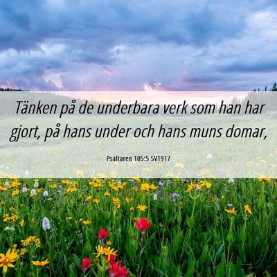 Picture 06 - Psaltaren 105:5 SV1917 - Tänken på de underbara verk som han har gjort, - Bible Verse Picture