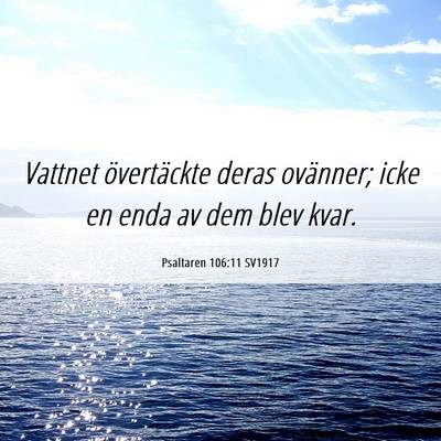 Picture 06 - Psaltaren 106:11 SV1917 - Vattnet övertäckte deras ovänner; icke en enda - Bible Verse Picture