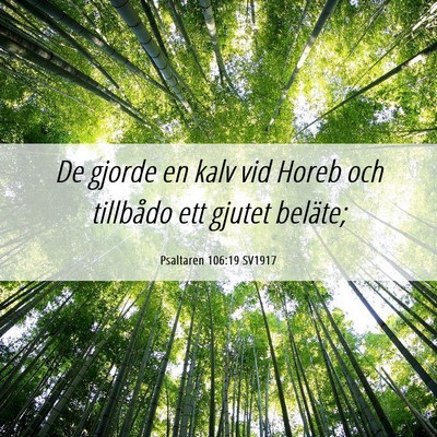 Picture 06 - Psaltaren 106:19 SV1917 - De gjorde en kalv vid Horeb och tillbådo ett - Bible Verse Picture