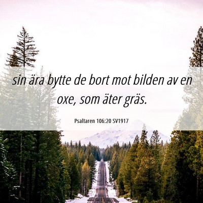 Picture 06 - Psaltaren 106:20 SV1917 - sin ära bytte de bort mot bilden av en oxe, som - Bible Verse Picture