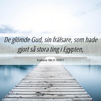 Picture 06 - Psaltaren 106:21 SV1917 - De glömde Gud, sin frälsare, som hade gjort så - Bible Verse Picture