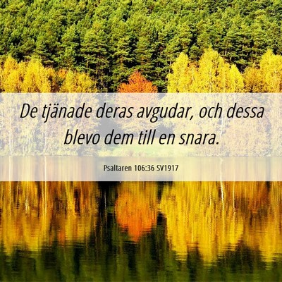 Picture 06 - Psaltaren 106:36 SV1917 - De tjänade deras avgudar, och dessa blevo dem - Bible Verse Picture