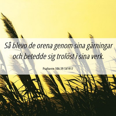 Picture 06 - Psaltaren 106:39 SV1917 - Så blevo de orena genom sina gärningar och - Bible Verse Picture