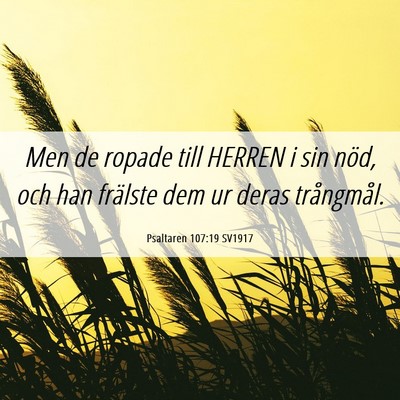 Picture 06 - Psaltaren 107:19 SV1917 - Men de ropade till HERREN i sin nöd, och han - Bible Verse Picture