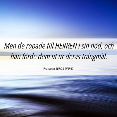 Picture 06 - Psaltaren 107:28 SV1917 - Men de ropade till HERREN i sin nöd, och han - Bible Verse Picture