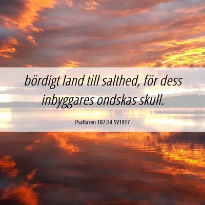 Picture 06 - Psaltaren 107:34 SV1917 - bördigt land till salthed, för dess inbyggares - Bible Verse Picture