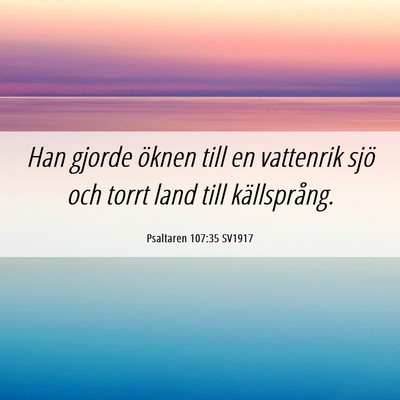 Picture 06 - Psaltaren 107:35 SV1917 - Han gjorde öknen till en vattenrik sjö och - Bible Verse Picture