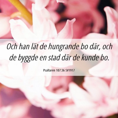 Picture 06 - Psaltaren 107:36 SV1917 - Och han lät de hungrande bo där, och de byggde - Bible Verse Picture