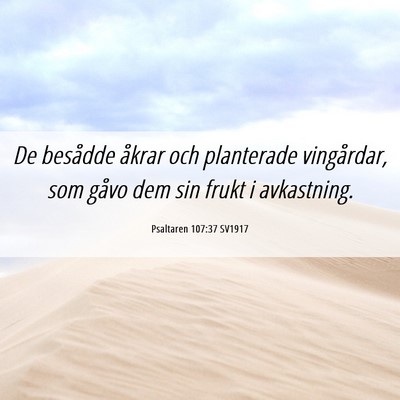 Picture 06 - Psaltaren 107:37 SV1917 - De besådde åkrar och planterade vingårdar, som - Bible Verse Picture