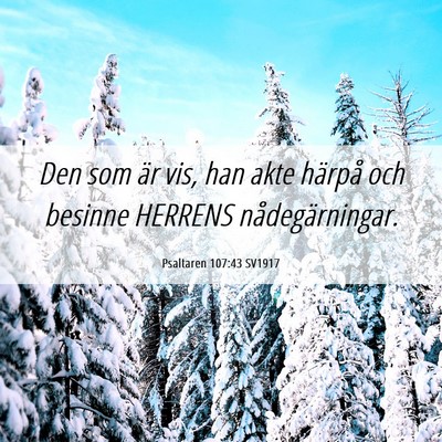 Picture 06 - Psaltaren 107:43 SV1917 - Den som är vis, han akte härpå och besinne - Bible Verse Picture