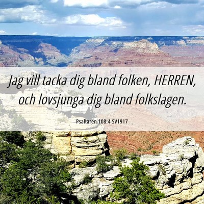 Picture 06 - Psaltaren 108:4 SV1917 - Jag vill tacka dig bland folken, HERREN, och - Bible Verse Picture