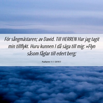 Picture 06 - Psaltaren 11:1 SV1917 - För sångmästaren; av David. Till HERREN Har - Bible Verse Picture