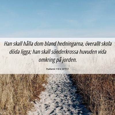 Picture 06 - Psaltaren 110:6 SV1917 - Han skall hålla dom bland hedningarna, överallt - Bible Verse Picture