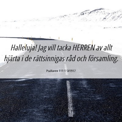 Picture 06 - Psaltaren 111:1 SV1917 - Halleluja! Jag vill tacka HERREN av allt hjärta - Bible Verse Picture