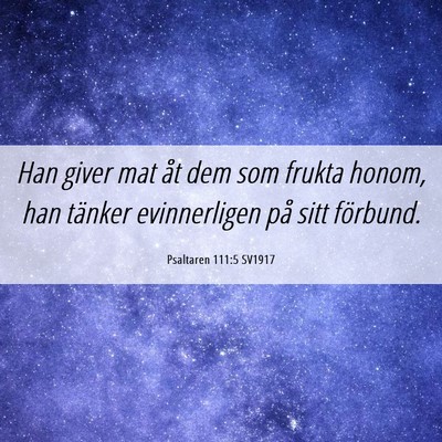Picture 06 - Psaltaren 111:5 SV1917 - Han giver mat åt dem som frukta honom, han - Bible Verse Picture
