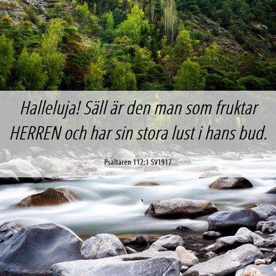 Picture 06 - Psaltaren 112:1 SV1917 - Halleluja! Säll är den man som fruktar HERREN - Bible Verse Picture