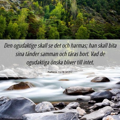 Picture 06 - Psaltaren 112:10 SV1917 - Den ogudaktige skall se det och harmas; han skall - Bible Verse Picture
