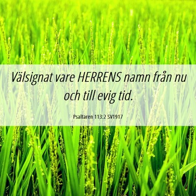 Picture 06 - Psaltaren 113:2 SV1917 - Välsignat vare HERRENS namn från nu och till - Bible Verse Picture