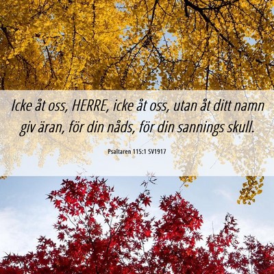Picture 06 - Psaltaren 115:1 SV1917 - Icke åt oss, HERRE, icke åt oss, utan åt ditt - Bible Verse Picture