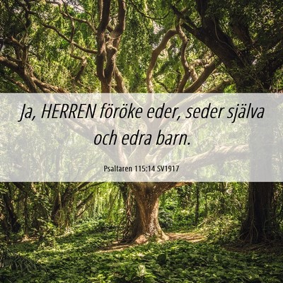 Picture 06 - Psaltaren 115:14 SV1917 - Ja, HERREN föröke eder, seder själva och edra - Bible Verse Picture