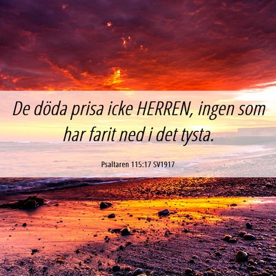 Picture 06 - Psaltaren 115:17 SV1917 - De döda prisa icke HERREN, ingen som har farit - Bible Verse Picture