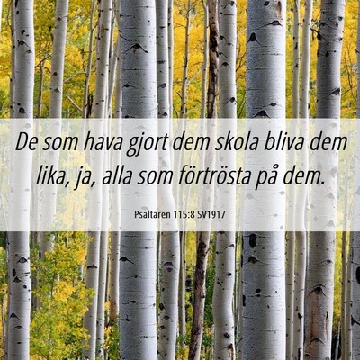 Picture 06 - Psaltaren 115:8 SV1917 - De som hava gjort dem skola bliva dem lika, ja, - Bible Verse Picture