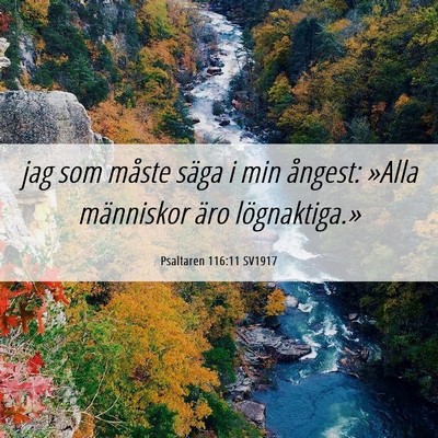 Picture 06 - Psaltaren 116:11 SV1917 - jag som måste säga i min ångest: »Alla - Bible Verse Picture