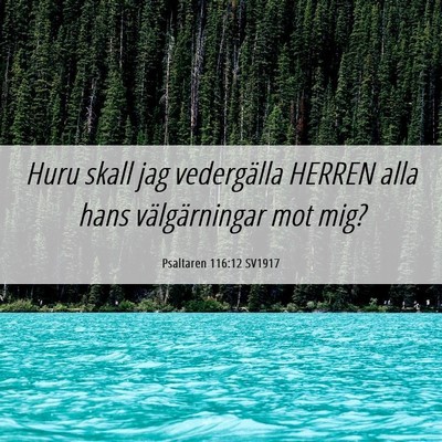 Picture 06 - Psaltaren 116:12 SV1917 - Huru skall jag vedergälla HERREN alla hans - Bible Verse Picture