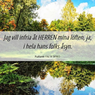 Picture 06 - Psaltaren 116:14 SV1917 - Jag vill infria åt HERREN mina löften, ja, i - Bible Verse Picture