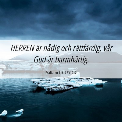 Picture 06 - Psaltaren 116:5 SV1917 - HERREN är nådig och rättfärdig, vår Gud är - Bible Verse Picture