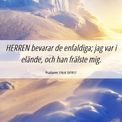Picture 06 - Psaltaren 116:6 SV1917 - HERREN bevarar de enfaldiga; jag var i elände, - Bible Verse Picture