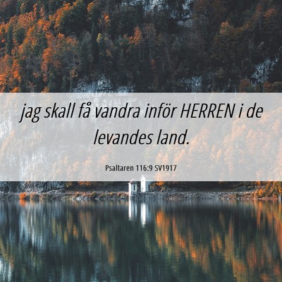 Picture 06 - Psaltaren 116:9 SV1917 - jag skall få vandra inför HERREN i de levandes - Bible Verse Picture