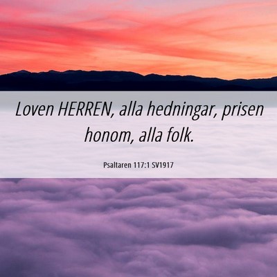 Picture 06 - Psaltaren 117:1 SV1917 - Loven HERREN, alla hedningar, prisen honom, alla - Bible Verse Picture
