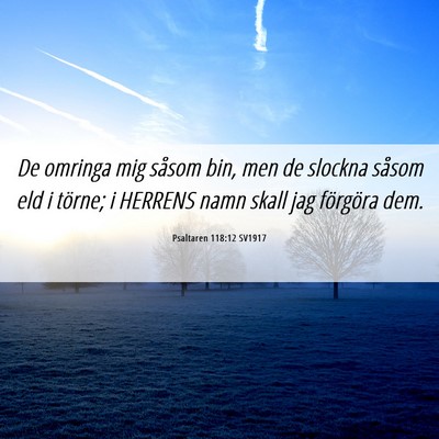 Picture 06 - Psaltaren 118:12 SV1917 - De omringa mig såsom bin, men de slockna såsom - Bible Verse Picture