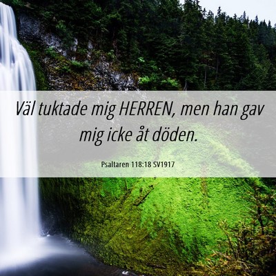 Picture 06 - Psaltaren 118:18 SV1917 - Väl tuktade mig HERREN, men han gav mig icke åt - Bible Verse Picture