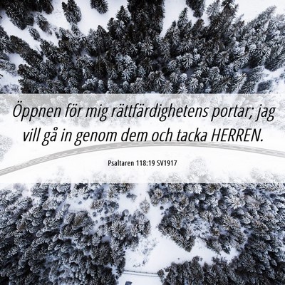 Picture 06 - Psaltaren 118:19 SV1917 - Öppnen för mig rättfärdighetens portar; jag - Bible Verse Picture