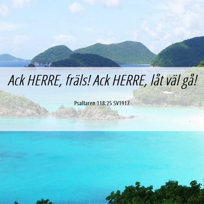 Picture 06 - Psaltaren 118:25 SV1917 - Ack HERRE, fräls! Ack HERRE, låt väl - Bible Verse Picture