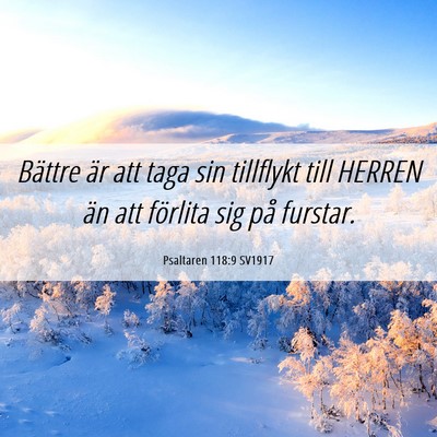 Picture 06 - Psaltaren 118:9 SV1917 - Bättre är att taga sin tillflykt till HERREN - Bible Verse Picture