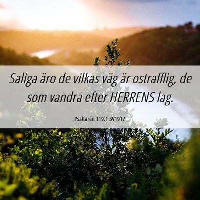 Picture 06 - Psaltaren 119:1 SV1917 - Saliga äro de vilkas väg är ostrafflig, de som - Bible Verse Picture