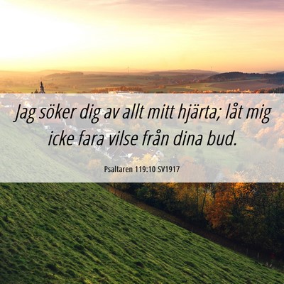 Picture 06 - Psaltaren 119:10 SV1917 - Jag söker dig av allt mitt hjärta; låt mig - Bible Verse Picture