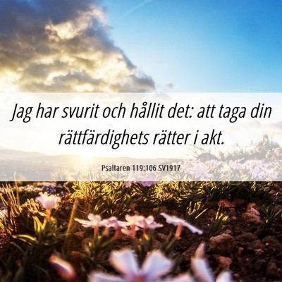 Picture 06 - Psaltaren 119:106 SV1917 - Jag har svurit och hållit det: att taga din - Bible Verse Picture