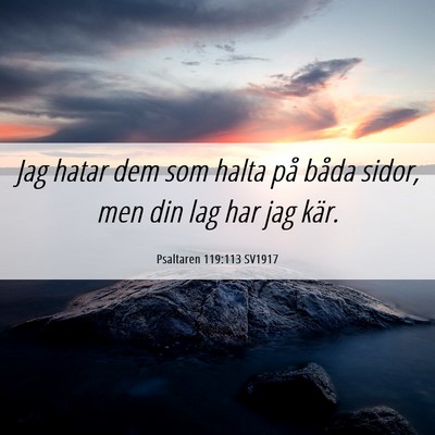 Picture 06 - Psaltaren 119:113 SV1917 - Jag hatar dem som halta på båda sidor, men din - Bible Verse Picture