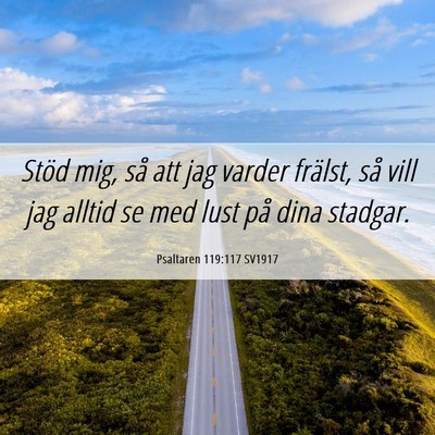 Picture 06 - Psaltaren 119:117 SV1917 - Stöd mig, så att jag varder frälst, så vill - Bible Verse Picture