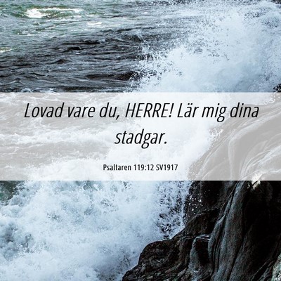 Picture 06 - Psaltaren 119:12 SV1917 - Lovad vare du, HERRE! Lär mig dina - Bible Verse Picture